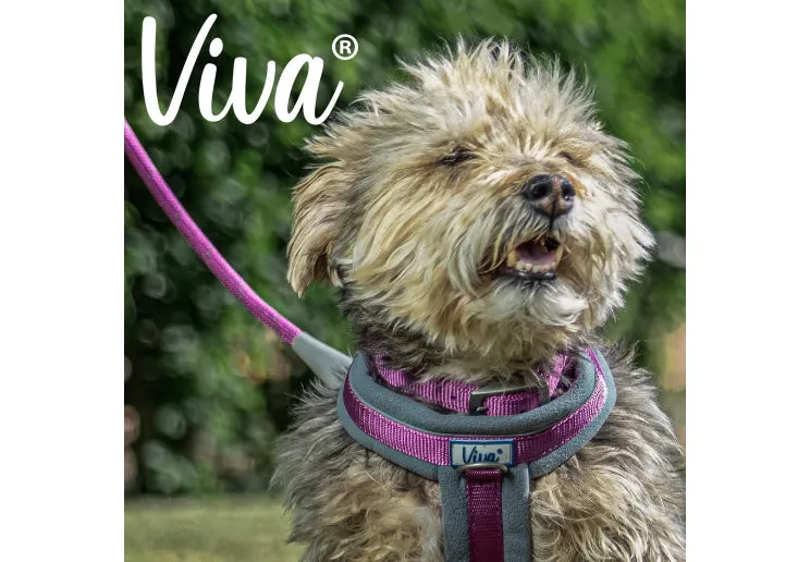 Ancol - Viva Nylon Padded Buckle Collar - Pink - Size 6 (45-54cm)