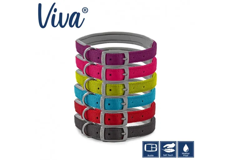 Ancol - Viva Nylon Padded Buckle Collar - Pink - Size 6 (45-54cm)