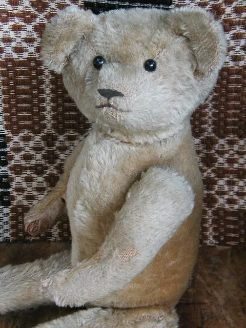 Antique Early Mohair Teddy Bear JointedShoe Button Eye Cutest Face EVER
