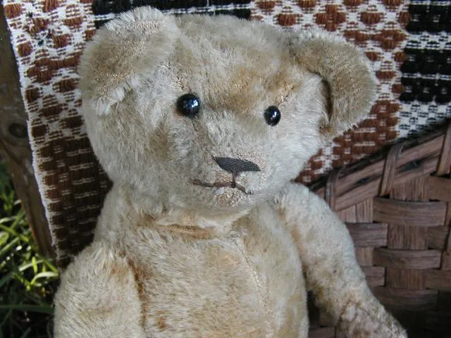 Antique Early Mohair Teddy Bear JointedShoe Button Eye Cutest Face EVER
