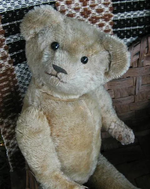 Antique Early Mohair Teddy Bear JointedShoe Button Eye Cutest Face EVER