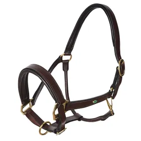  LEATHER PADDED HALTER WITH BRASS HARDWARE BY WINNER Brown