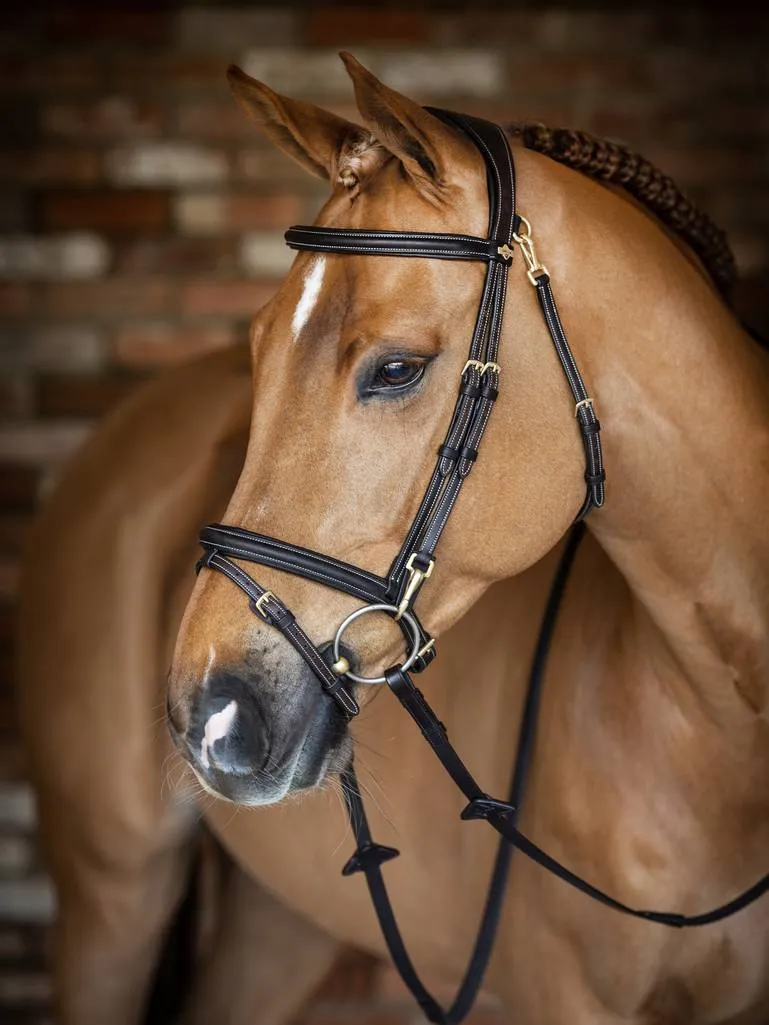 LeMieux Work Bridle - Brown