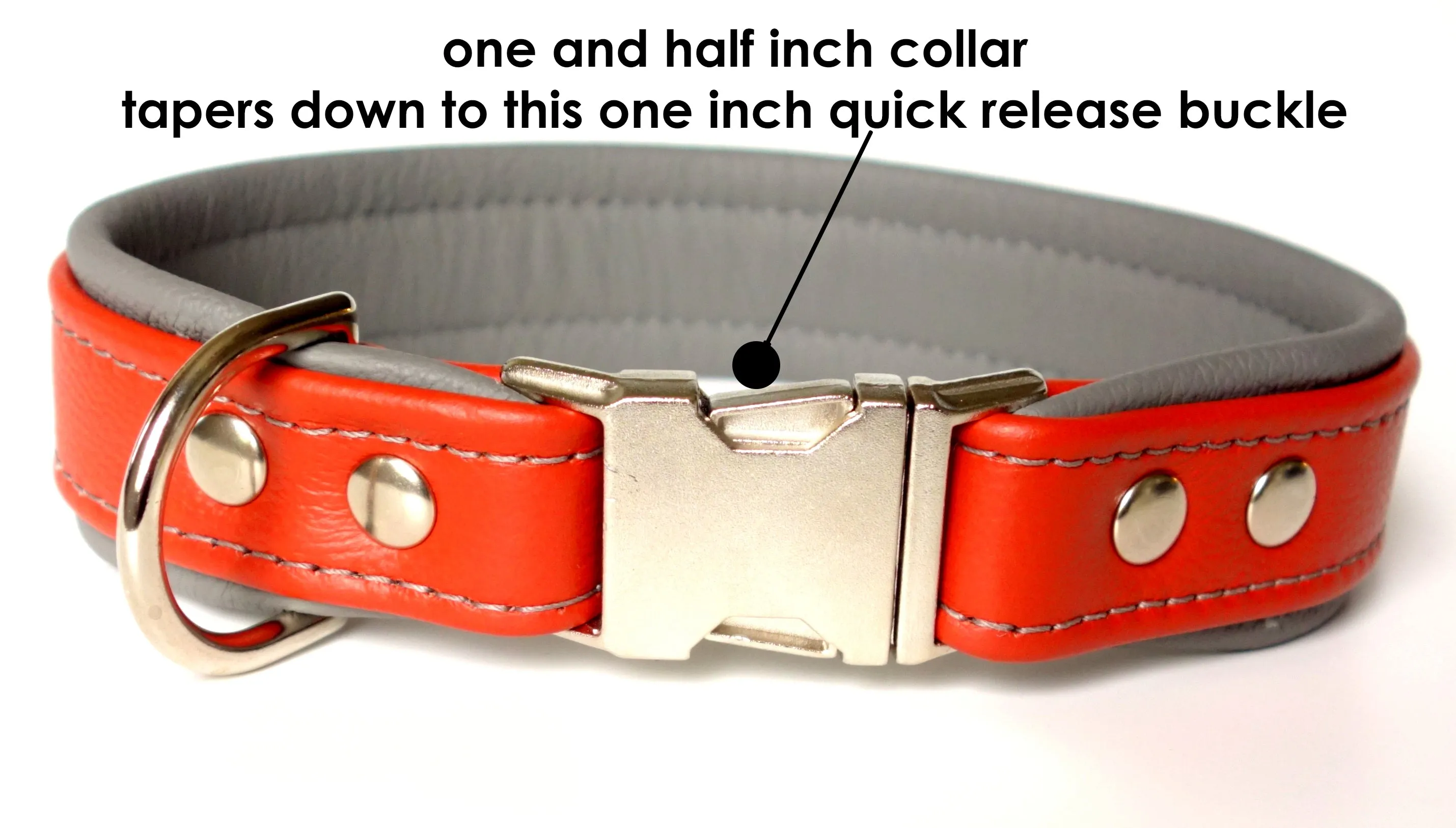 Padded Dog Collars Leather One and Half Inch (1.5 inch) Wide Tapered down to One Inch Buckle