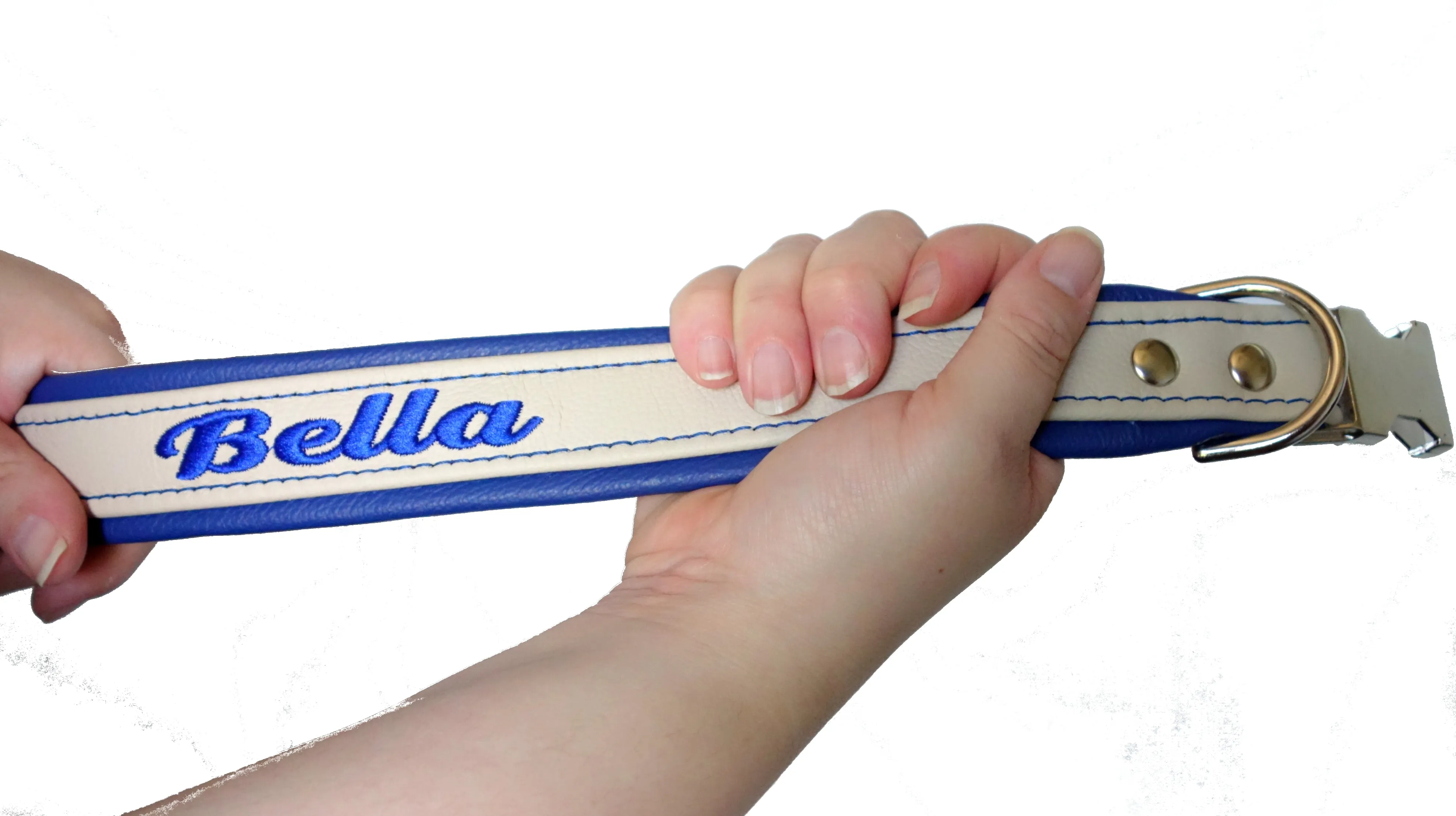 Padded Dog Collars Leather One and Half Inch (1.5 inch) Wide Tapered down to One Inch Buckle