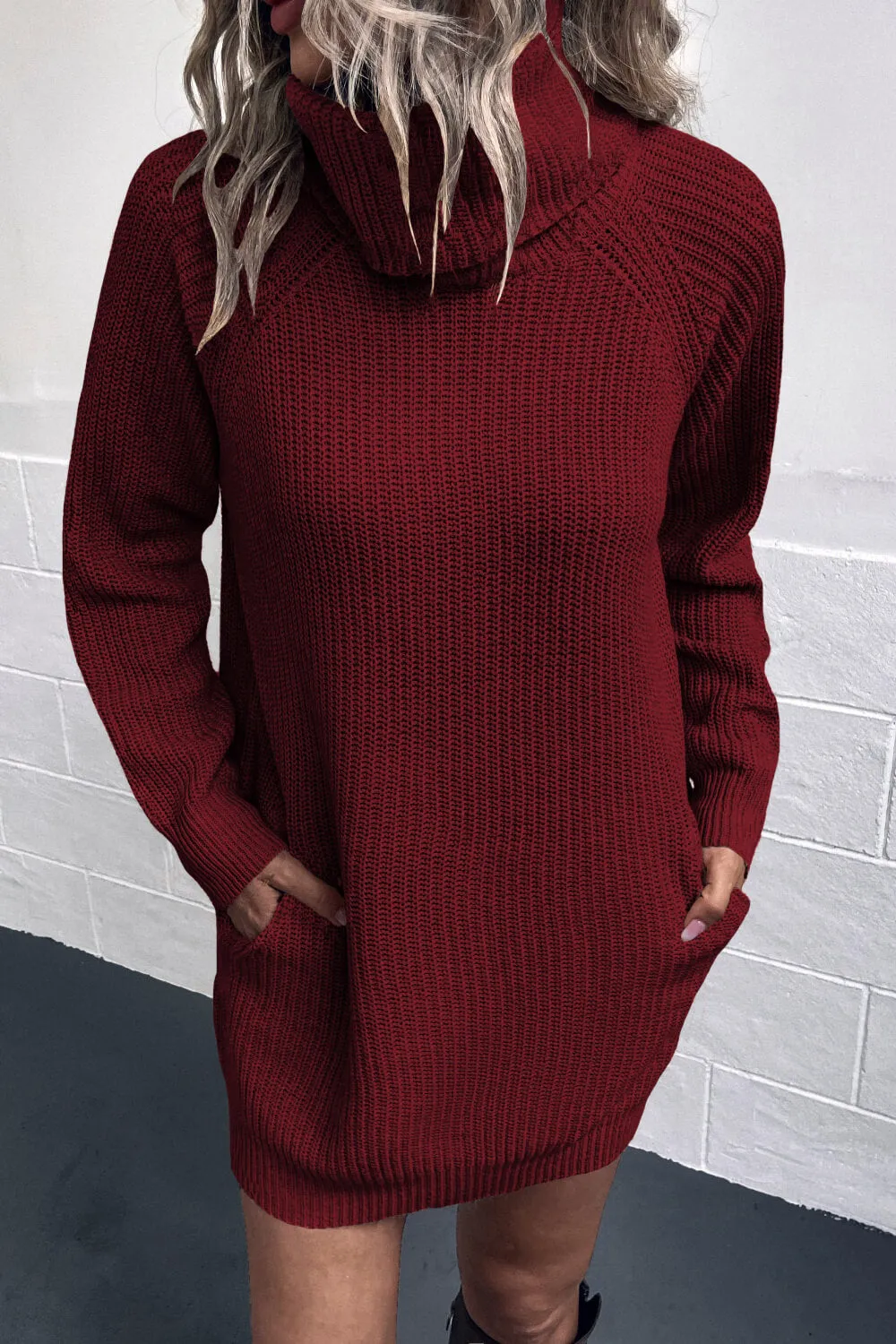 Womens Turtleneck Sweater Dress with Pockets (S-XL)