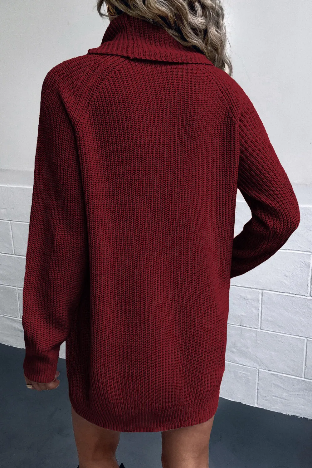 Womens Turtleneck Sweater Dress with Pockets (S-XL)