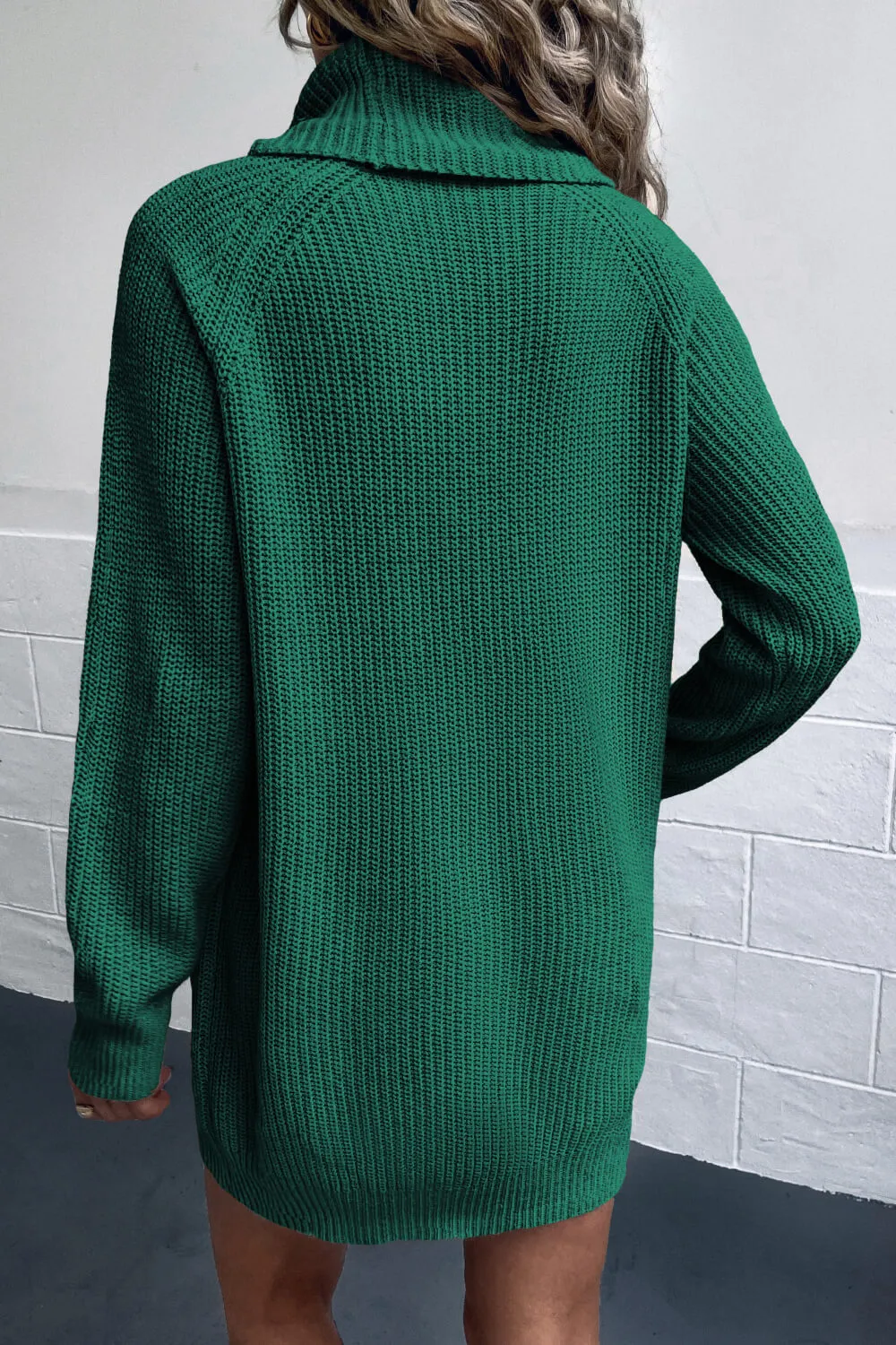 Womens Turtleneck Sweater Dress with Pockets (S-XL)